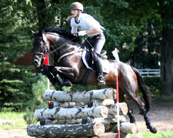 Im CIC* um einen Zähler aus der Platzierung heraus war Stephan Donst mit der Mecklenburger Stute Mona D. Im CIC* um einen Zähler aus der Platzierung heraus war Stephan Donst mit der Mecklenburger Stute Mona D.